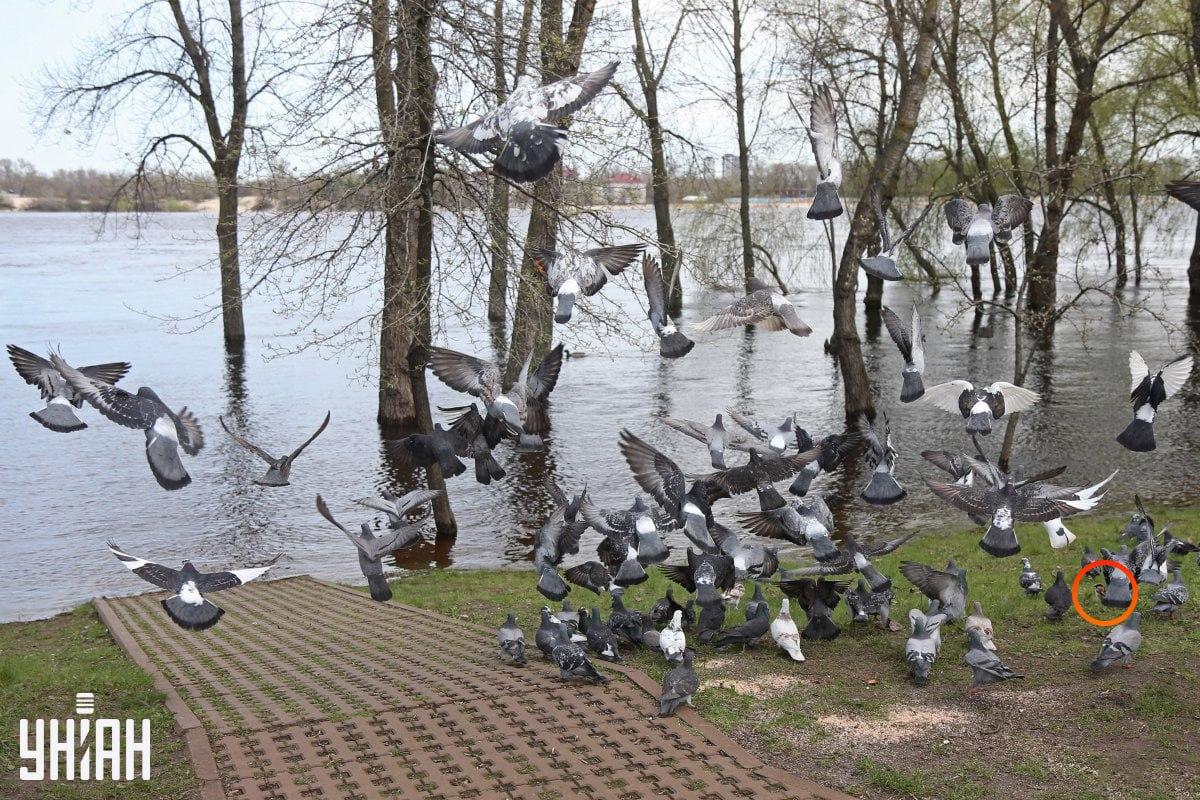 Moje foto med lösning