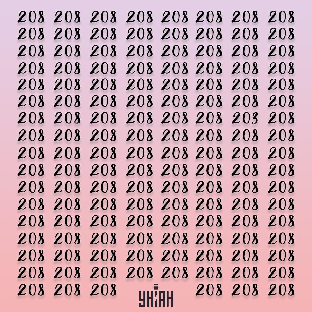 Visuellt pussel Hitta det extra numret bland alla 208:or