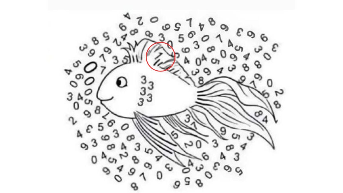 pussel lösning pussel lösning