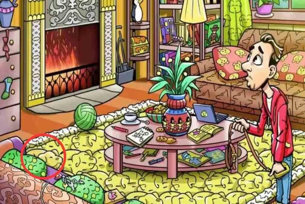 Svar / jagranjosh.com