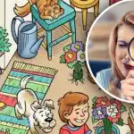 Alla kan inte hitta 5 gömda föremål på 15 sekunder: