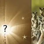 Alla ser en känguru, men du måste hitta en hare