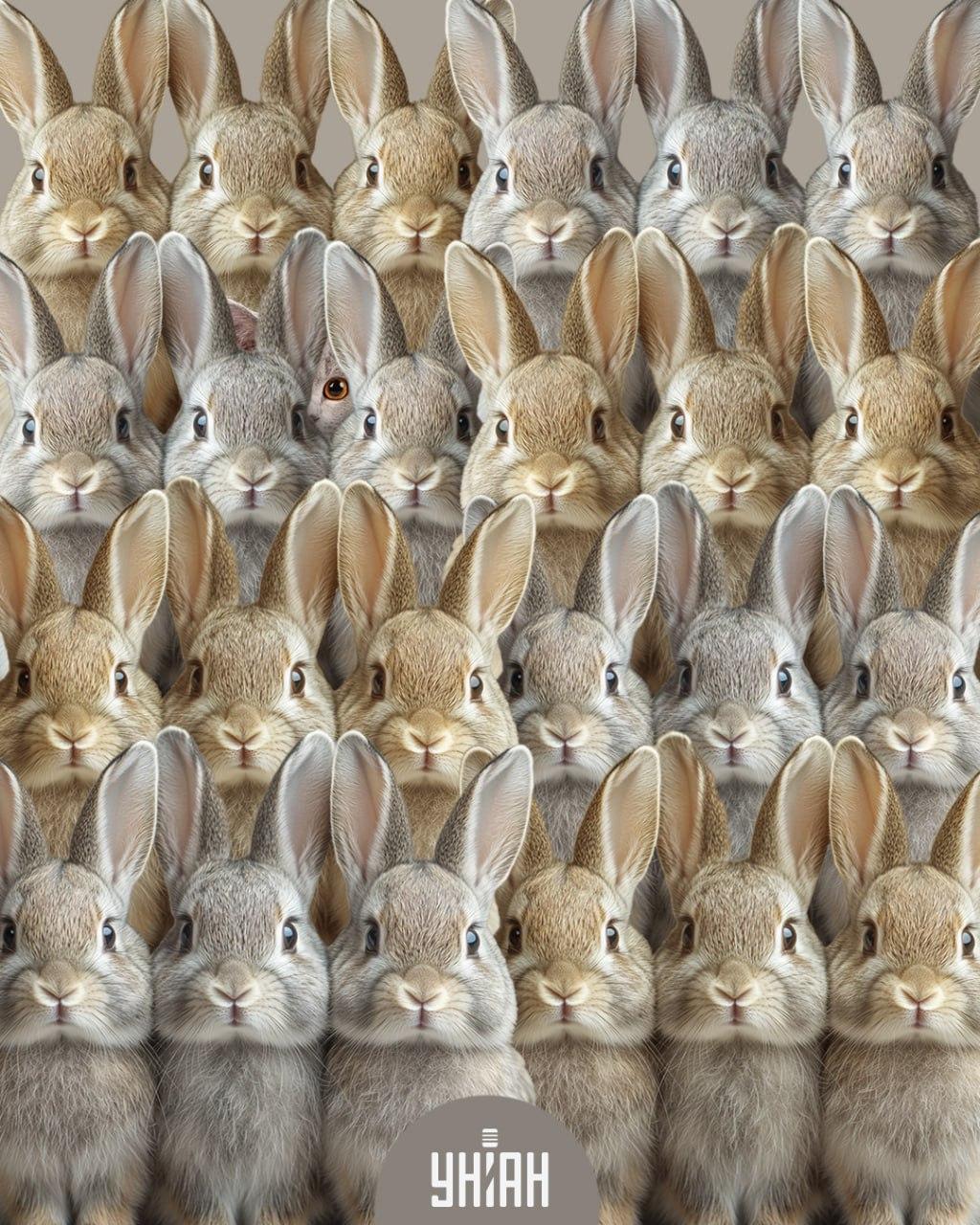 Moje collage Moje collage