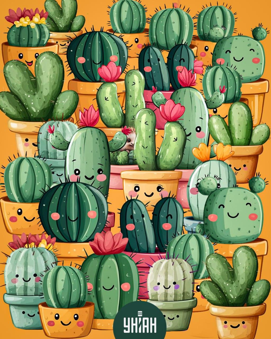 Moje collage Moje collage