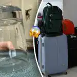 Kvinna öppnar resväska efter resa till Afrika och hittar "hårigt