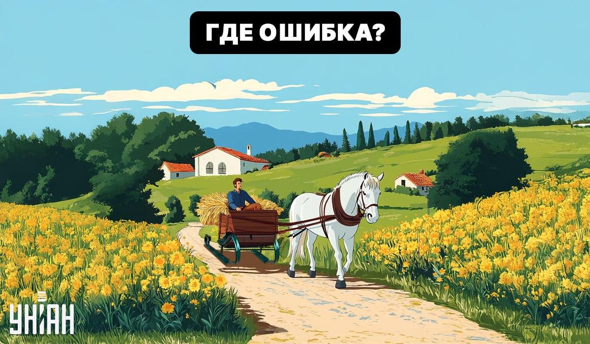 Moje collage Moje collage