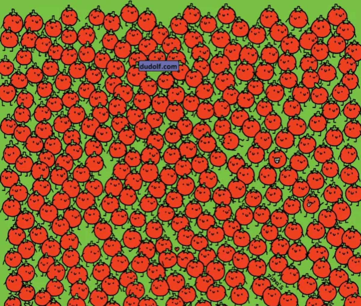 Försök att hitta äpplena så snabbt som möjligt / foto thedudolf.blogspot.com