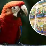 Rolig illusion för genier: bara ett fåtal kan hitta en papegoja på 15 sekunder Rolig illusion för genier: bara ett fåtal kan hitta en